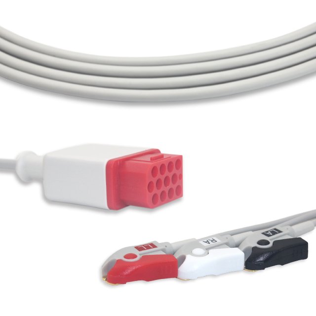 EEG